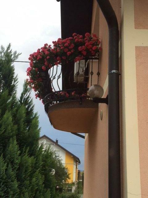 Apartman Hubertus 5* Vagovina Exterior foto
